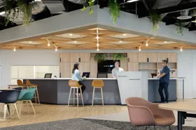 Modern office reception area with a wooden ceiling, plants, and a service counter