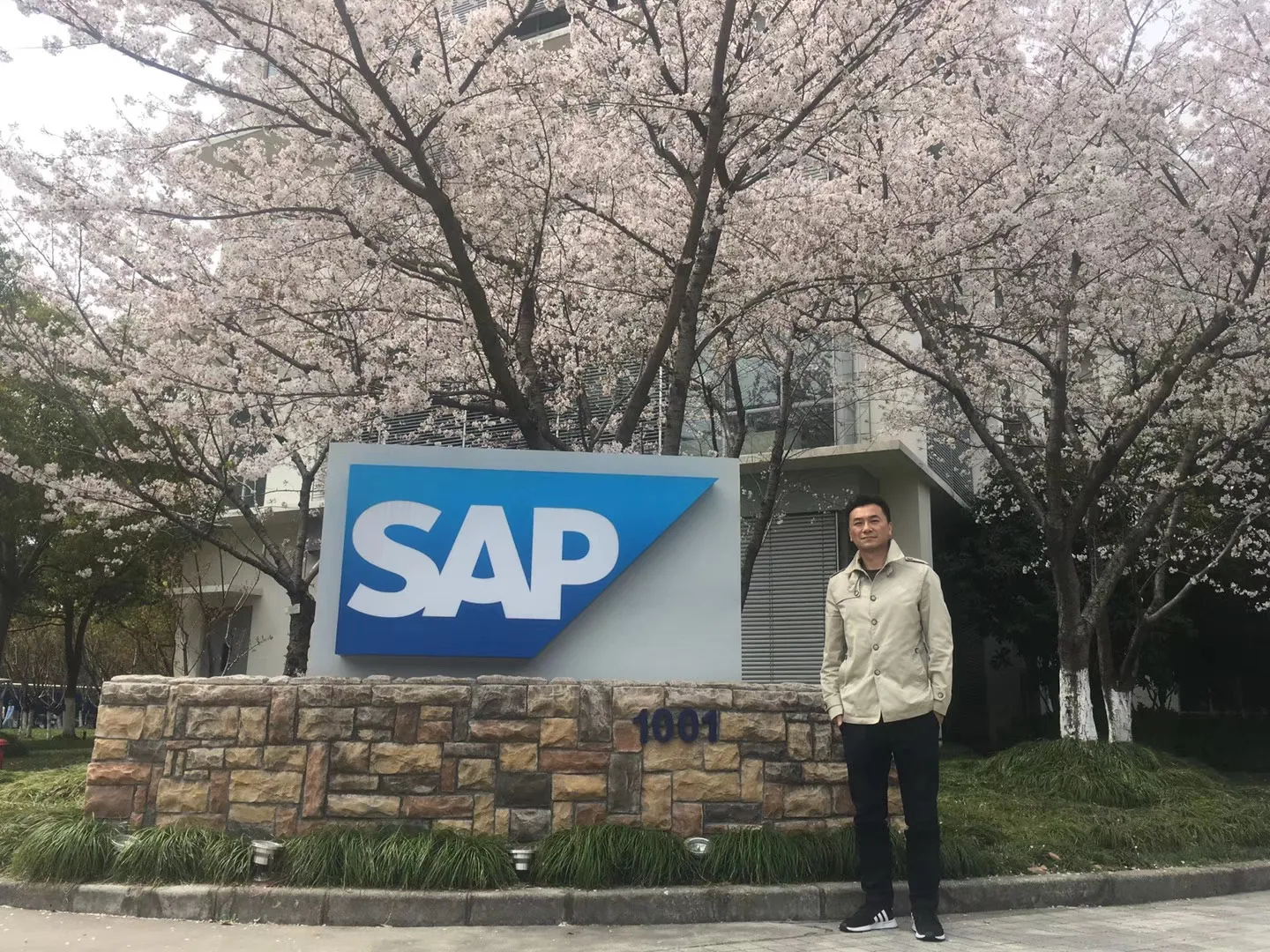 An SAP employee standing beside the SAP sign beneath blooming cherry blossom trees.